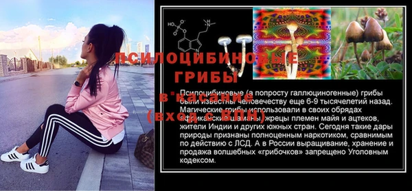 скорость Коряжма