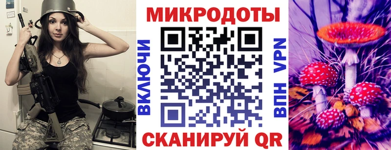 Псилоцибиновые грибы Psilocybe Югорск