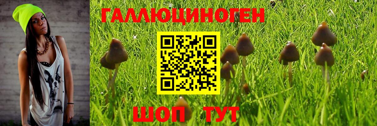 Псилоцибиновые грибы Magic Shrooms  даркнет сайт  Югорск  Вход с VPN  Псилоцибиновые грибы мицелий 